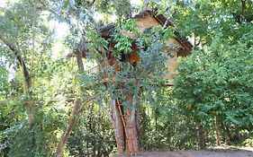 Tree House-Midigama