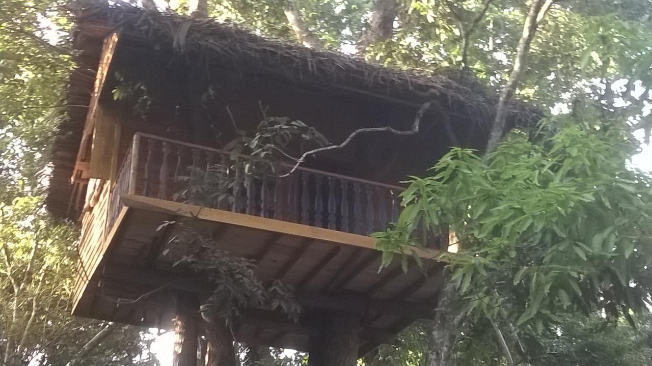 Tree House-Midigama Villa Weligama Exterior photo