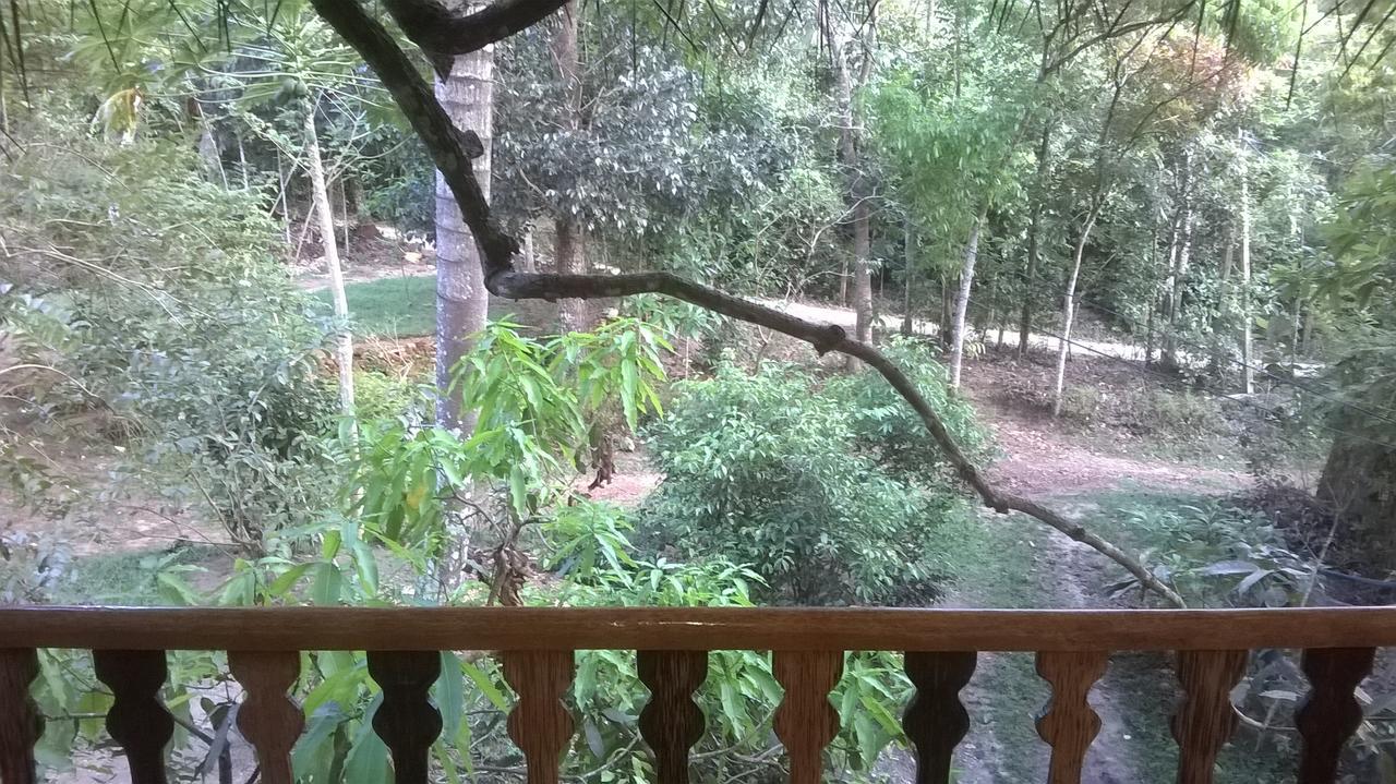Tree House-Midigama Villa Weligama Exterior photo