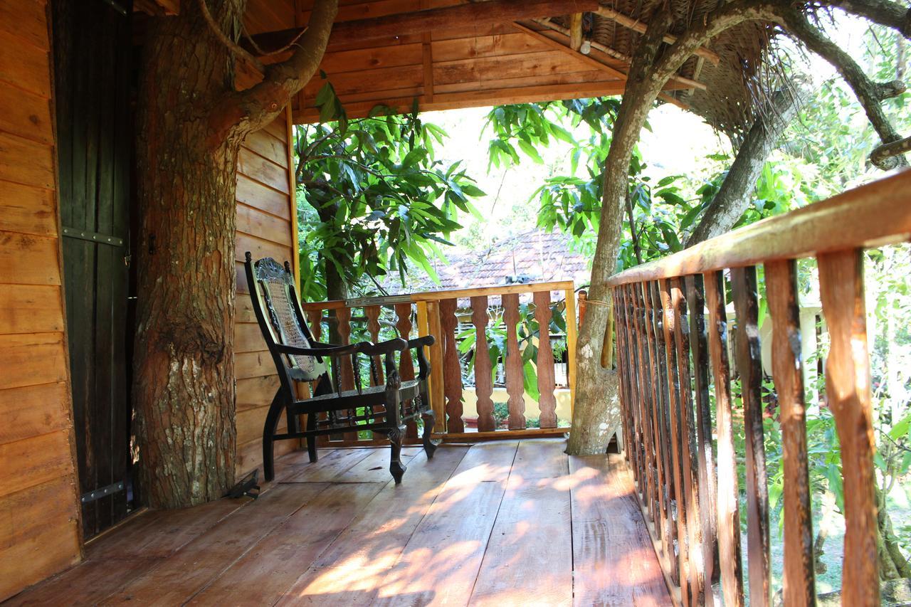 Tree House-Midigama Villa Weligama Exterior photo
