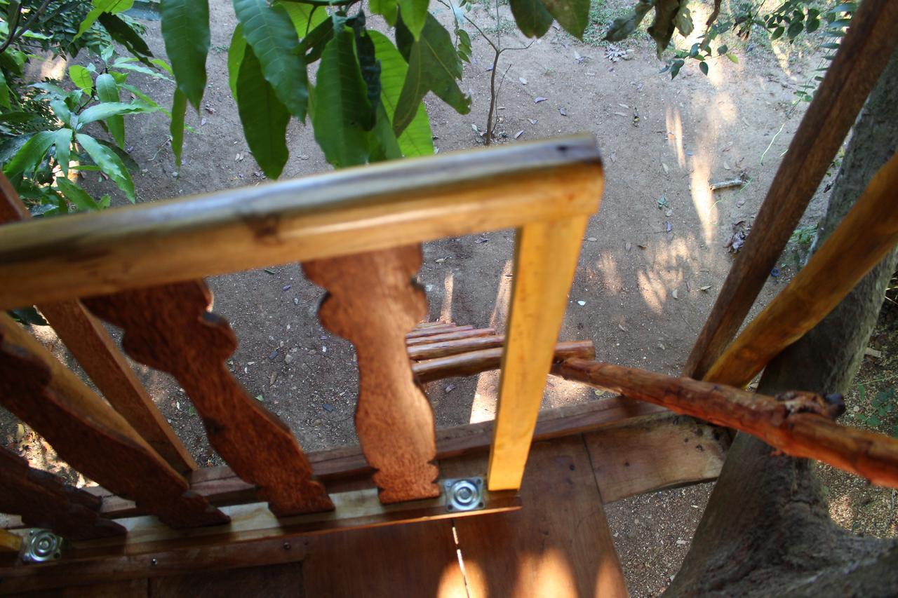 Tree House-Midigama Villa Weligama Exterior photo