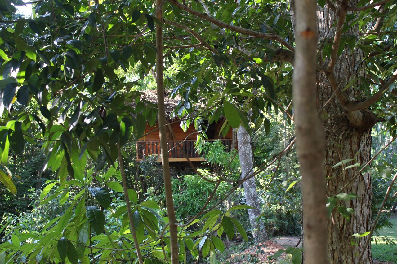 Tree House-Midigama Villa Weligama Exterior photo