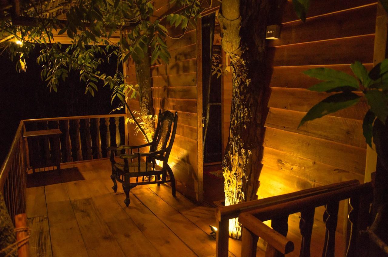 Tree House-Midigama Villa Weligama Exterior photo