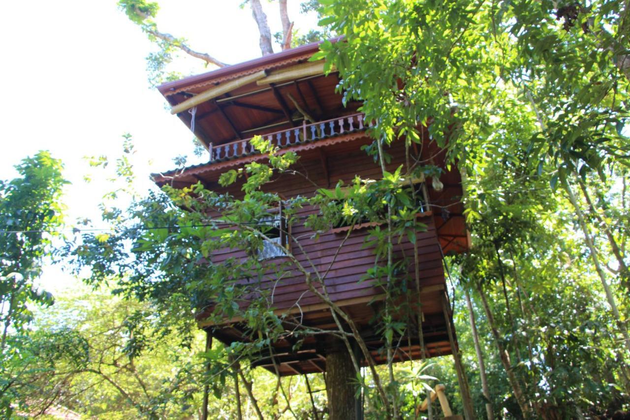 Tree House-Midigama Villa Weligama Exterior photo