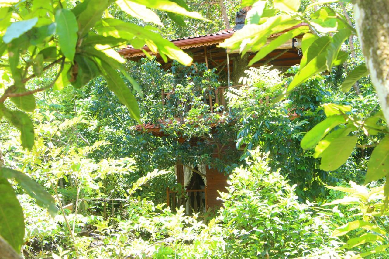 Tree House-Midigama Villa Weligama Exterior photo