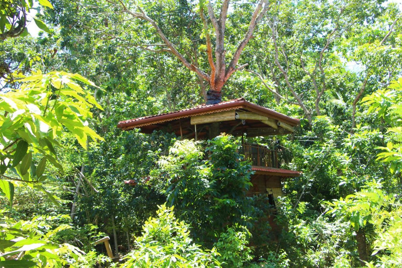 Tree House-Midigama Villa Weligama Exterior photo