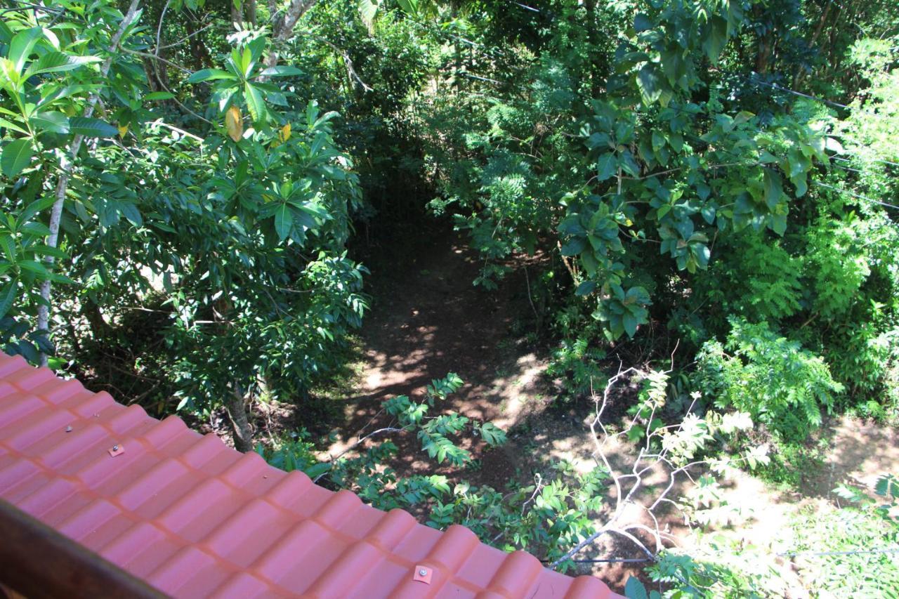 Tree House-Midigama Villa Weligama Exterior photo