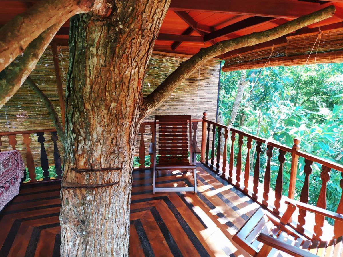 Tree House-Midigama Villa Weligama Exterior photo