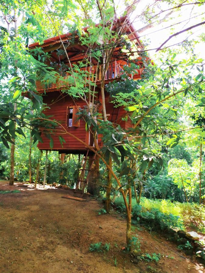 Tree House-Midigama Villa Weligama Exterior photo