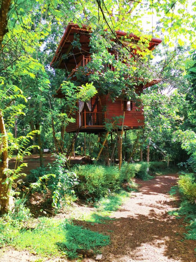 Tree House-Midigama Villa Weligama Exterior photo